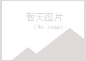 邙山区沉沦建设有限公司